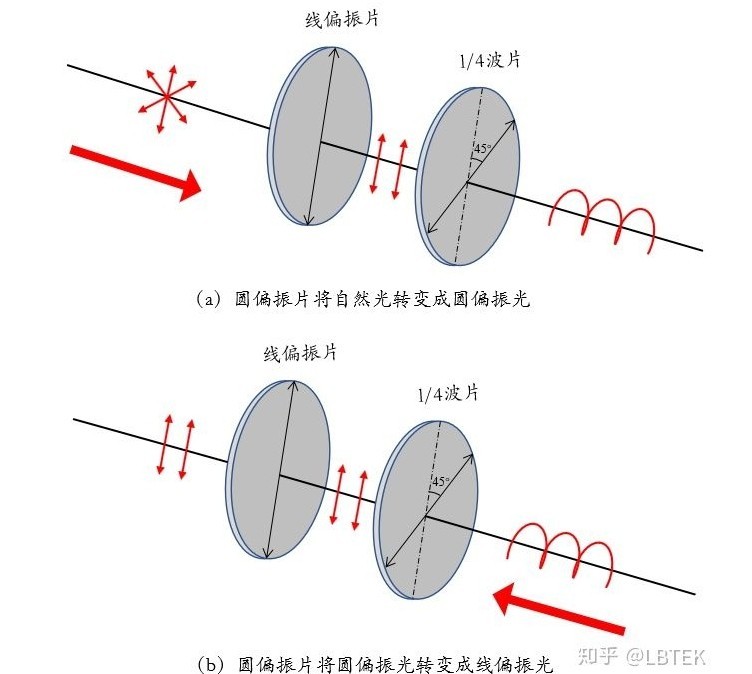 偏振片原理图