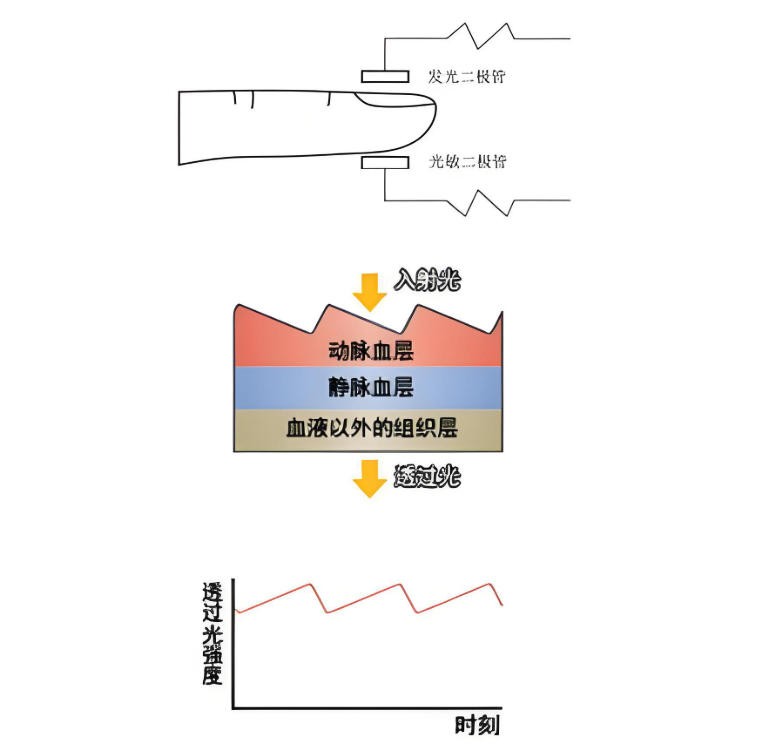 脉搏血氧仪简介与光学原理<